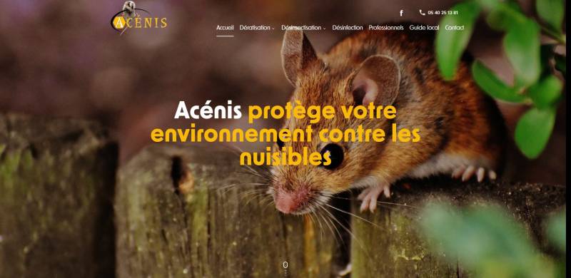 Création d'un site internet d'exterminateur de nuisible à Bordeaux pour Acénis