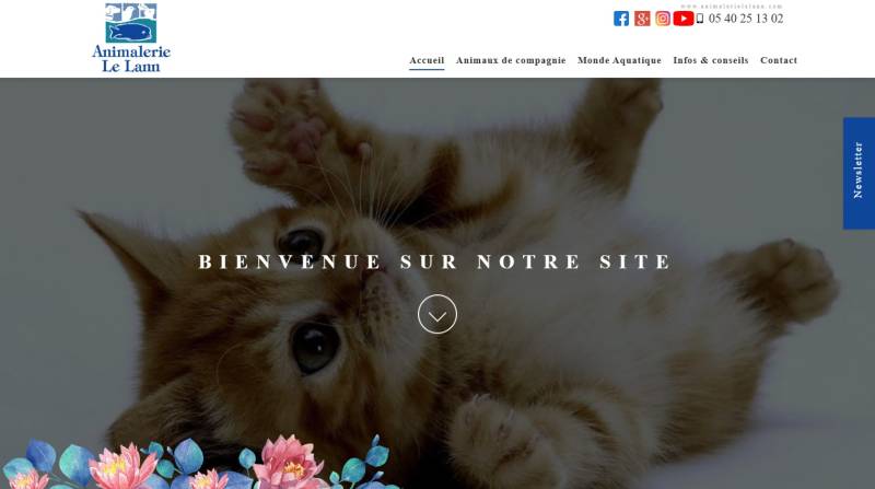 Site Internet réalisé pour l'Animalerie Le Lann en Gironde